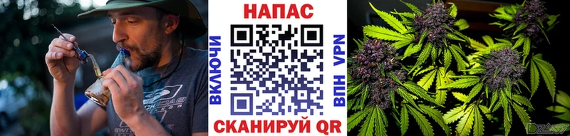 Где продают наркотики Электросталь omg tor  Мефедрон  МАРИХУАНА  Alpha-PVP 