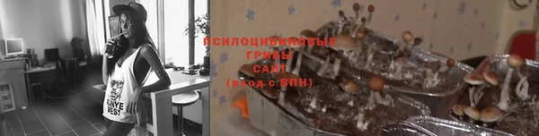 дмт Абинск