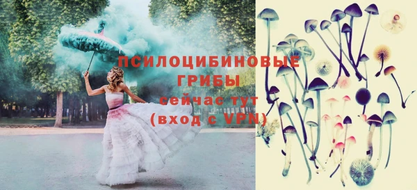 СК Абаза