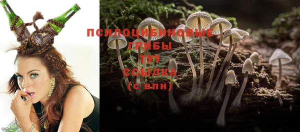 дмт Абинск
