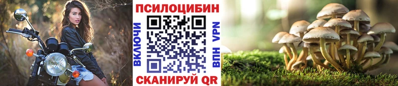 Псилоцибиновые грибы прущие грибы  KRAKEN ССЫЛКА  shop формула  Электросталь 