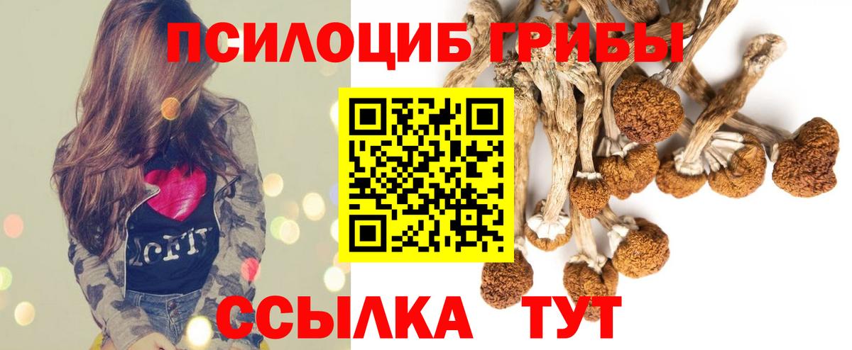 Галлюциногенные грибы MAGIC MUSHROOMS  Вход с VPN  продажа наркотиков  Электросталь 